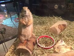 -宠物世家(仲盛世界商城店)