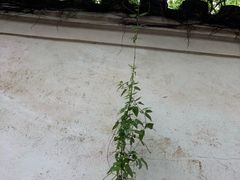 -普陀山风景名胜区-法雨禅寺