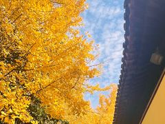 -西园戒幢律寺