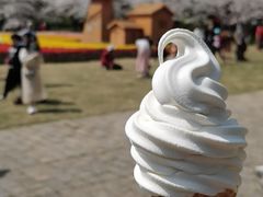 -苏州上方山国家森林公园