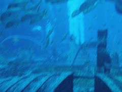 -亚特兰蒂斯•OSSIANO奥西亚诺海底餐厅