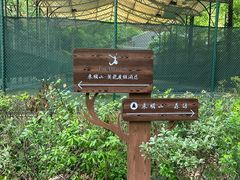 -东明山森林公园