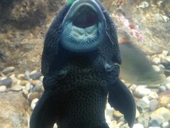 -苏州海洋馆