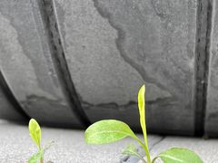 -海马体照相馆(厦门SM城市广场店)
