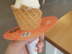 -野人先生现做冰淇淋(北京环宇荟店)