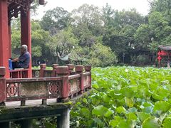 -房湖公园