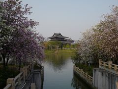 -海珠湖公园