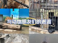 -保定市动物园