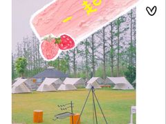 -前小桔亲子创意农场·草莓采摘·露营烧烤