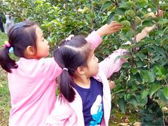 -精诚实验幼儿园潘家园园
