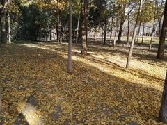 -秀水公园