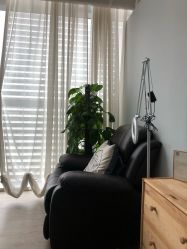 -摩睫+皮肤管理·科学美容中心