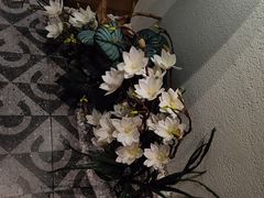 -霸王茶姬(正佳广场店)