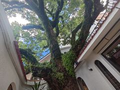 -澳门圣地牙哥古堡酒店