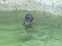 20100806413-绿色时代大酒店