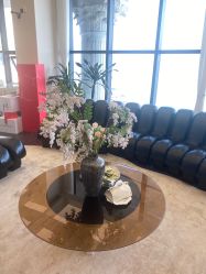 -素妍医疗美容抗衰·美学注射