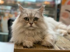 -小时光咖啡馆(北锣鼓巷店)