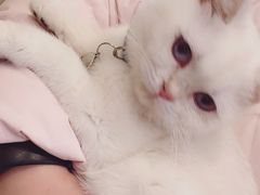 -小小班私人影院·猫咖(万达茂广场店)