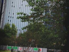 -唐城墙遗址公园
