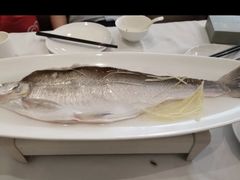 清蒸钱塘白水鱼-西湖春天•老字号杭州菜(百汇店)