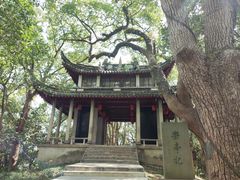 -溪口-滕头旅游景区