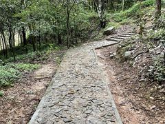 -上海佘山国家森林公园天马山园