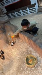 -宝燕乐园(闵行旗舰店)