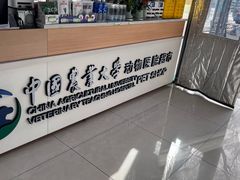 -中国农业大学动物医院