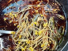 -金海椒罐罐鲢鱼(东方桂苑店)