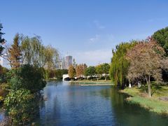 -尚贤河湿地