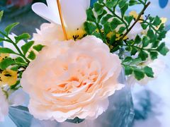 -哈根达斯(虹口店)