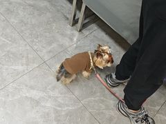 -半岛宠物医院24小时(白果林店)