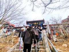 -崂山巨峰游览区