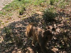 -苏州上方山国家森林公园
