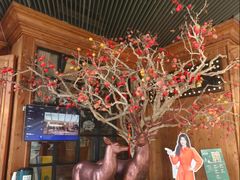 -新白鹿餐厅(城西银泰城店)