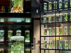 -广东中医药博物馆