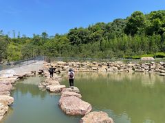 -南山植物园