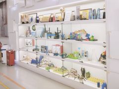 -斯坦星球AI编程·机器人科创·科学实验·信奥·思维·STEM·积木拼搭·竞赛考级(浦东联洋广场大拇指龙阳御桥中心)