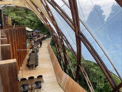 -怀托摩萤火虫洞