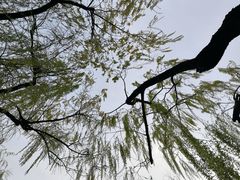 -家烧面馆【南山路知名经典面食】