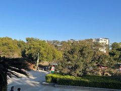 -大屏嶂森林公园