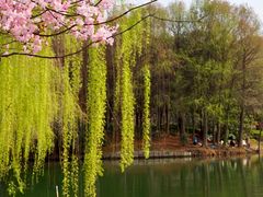 -尚贤河湿地