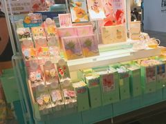 -厦门高崎国际机场-T3航站楼