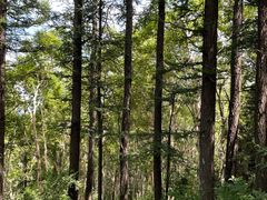 -白草畔自然风景区