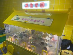 -神奇动物撸宠馆·羊驼·小浣熊·异宠(豫园店)