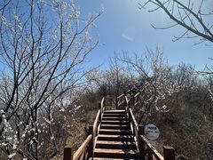 -大岭沟猕猴桃谷风景区