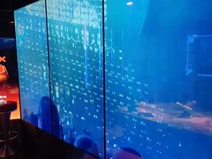 -温莎KTV(国贸店)