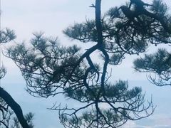 -萍乡武功山风景名胜区