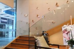 -香港雪纤瘦美容中心