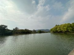 -长广溪湿地公园